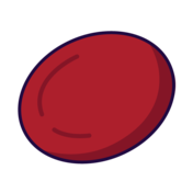 Graphic of Red Blood Cell