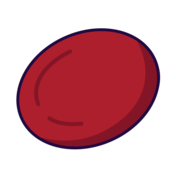 Graphic of Red blood cell