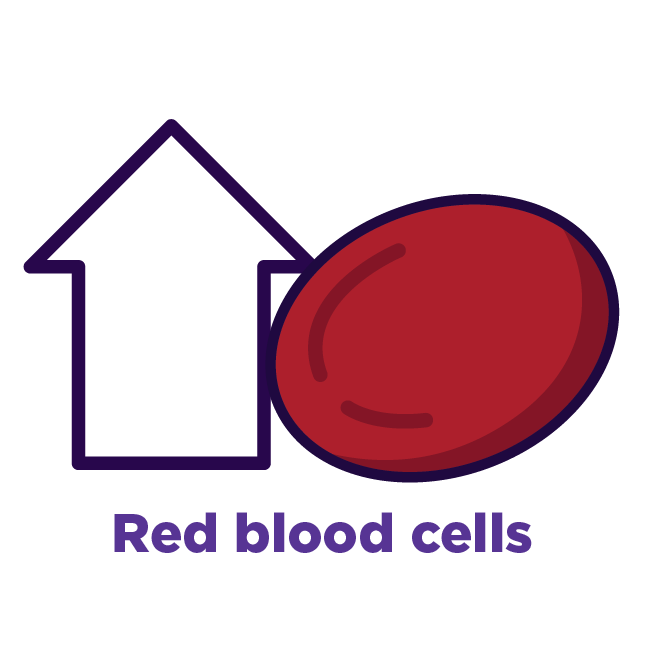 PROMACTA helps your body increase the production of Red blood cells