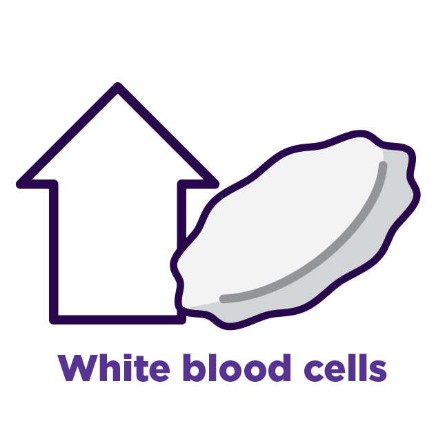 PROMACTA helps your body increase the production of White blood cells